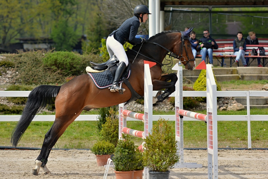 Skoková soutěž stupně „ZL“ na čas