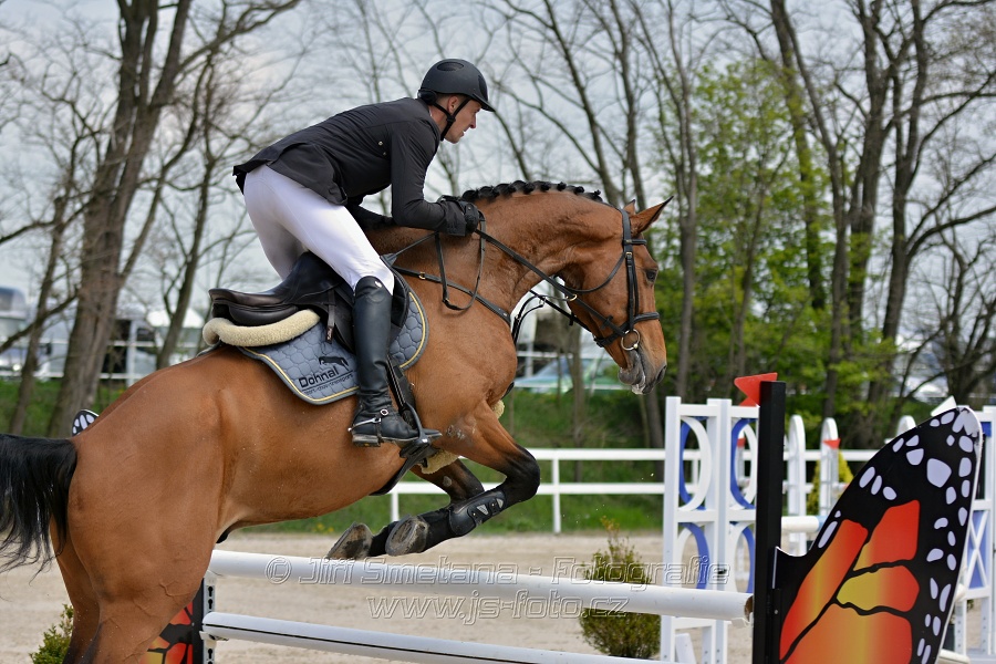 Skoková soutěž stupně „ZL“ na čas