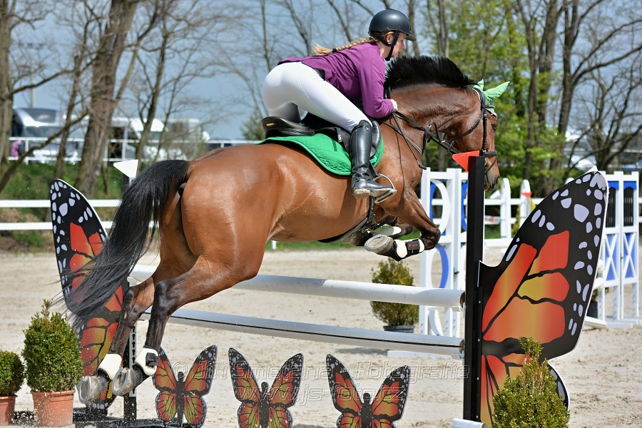 Skoková soutěž stupně „ZL“ na čas