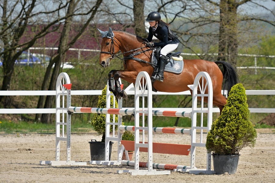 Skoková soutěž stupně „ZL“ na čas