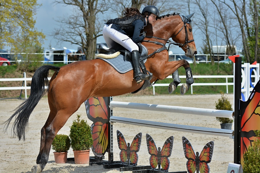 Skoková soutěž stupně „ZL“ na čas