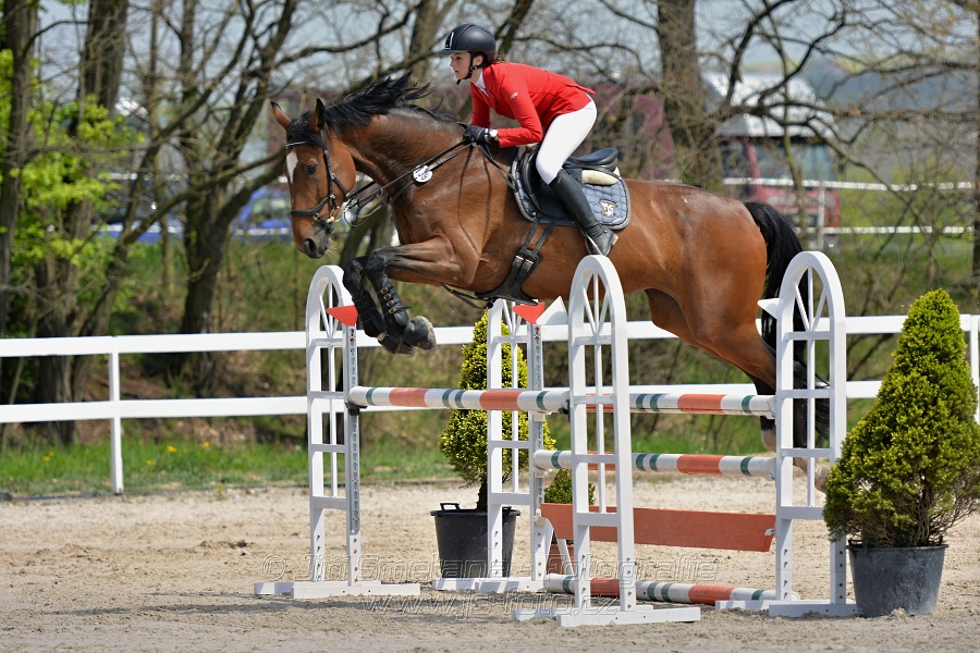 Skoková soutěž stupně „ZL“ na čas