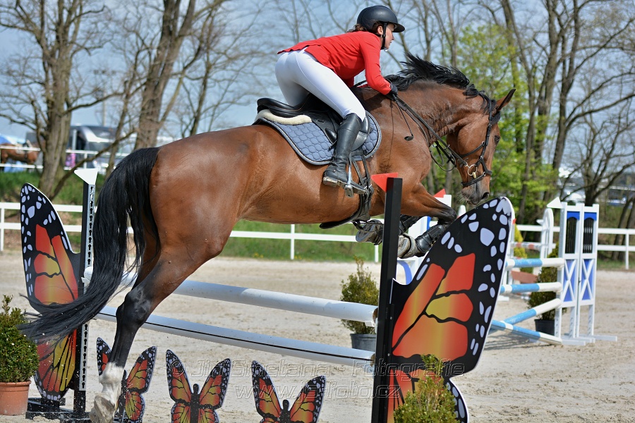 Skoková soutěž stupně „ZL“ na čas