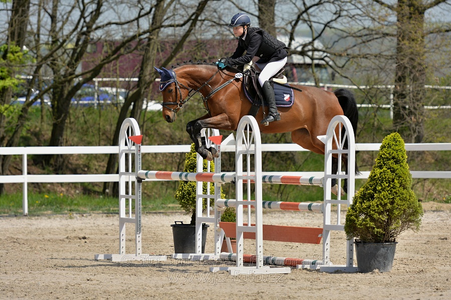 Skoková soutěž stupně „ZL“ na čas