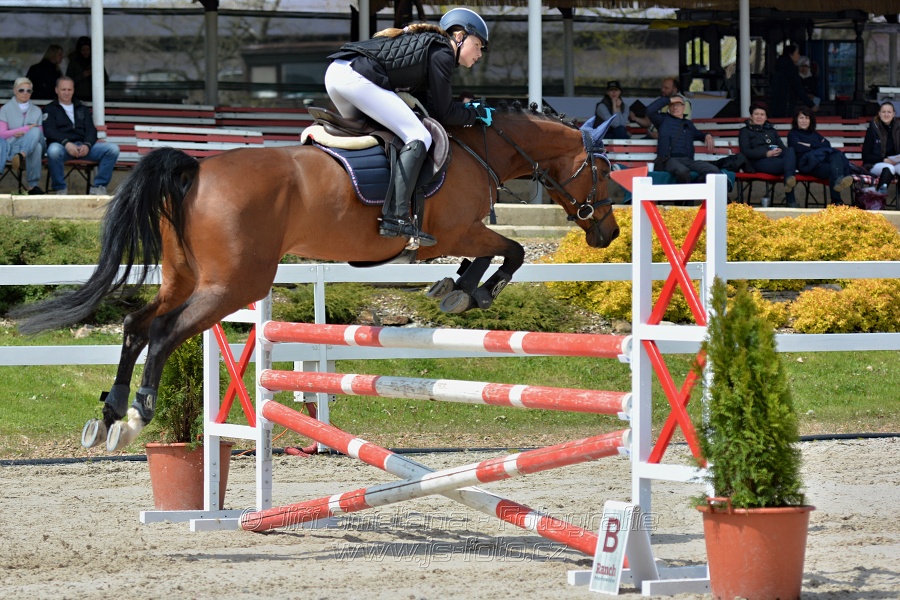 Skoková soutěž stupně „ZL“ na čas