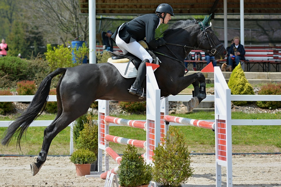 Skoková soutěž stupně „ZL“ na čas