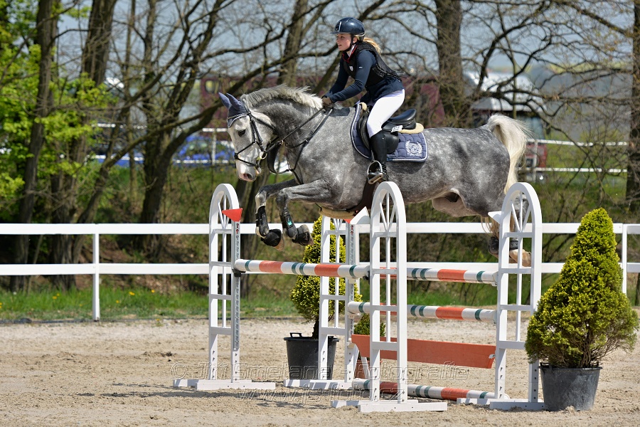 Skoková soutěž stupně „ZL“ na čas