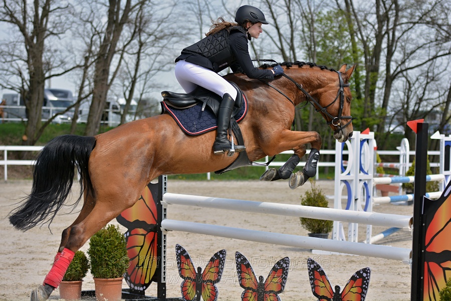 Skoková soutěž stupně „ZL“ na čas