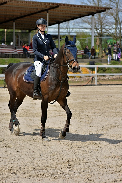 Skoková soutěž stupně „ZL“ na čas
