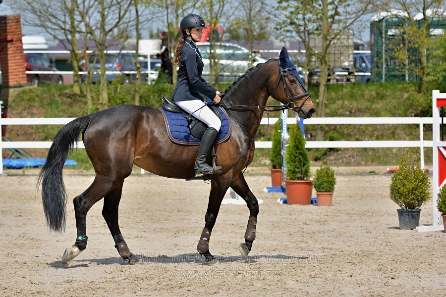 Skoková soutěž stupně „ZL“ na čas