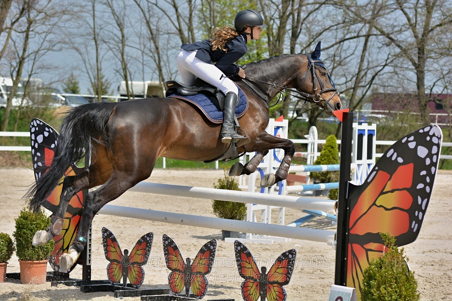 Skoková soutěž stupně „ZL“ na čas