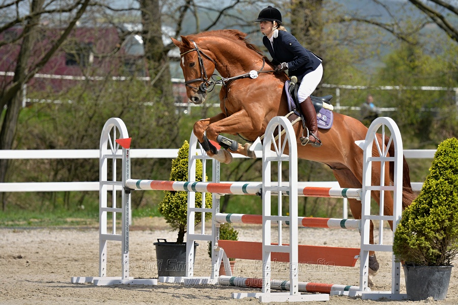 Skoková soutěž stupně „ZL“ na čas