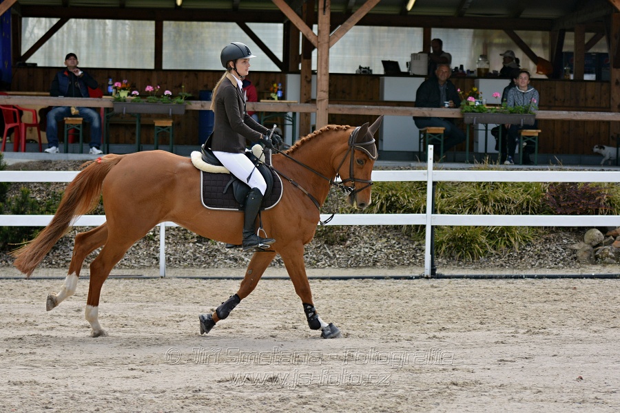 Skoková soutěž stupně „ZL“ na čas