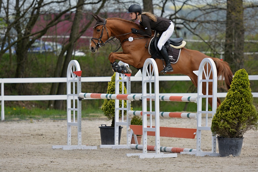 Skoková soutěž stupně „ZL“ na čas