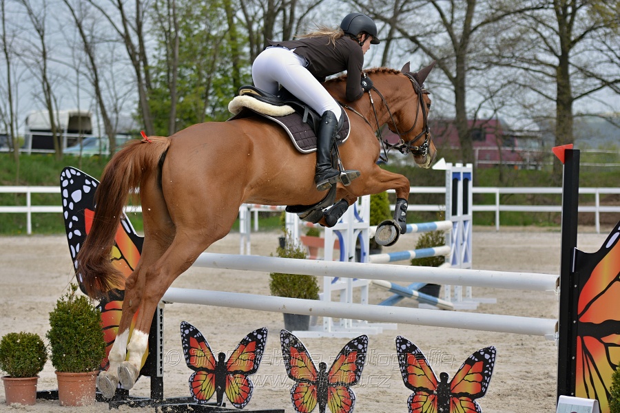 Skoková soutěž stupně „ZL“ na čas