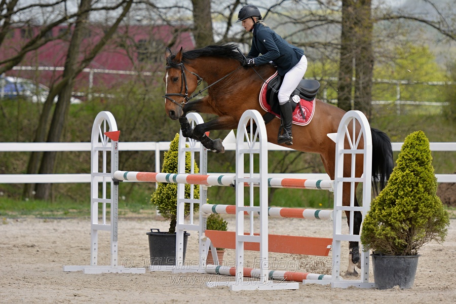 Skoková soutěž stupně „ZL“ na čas