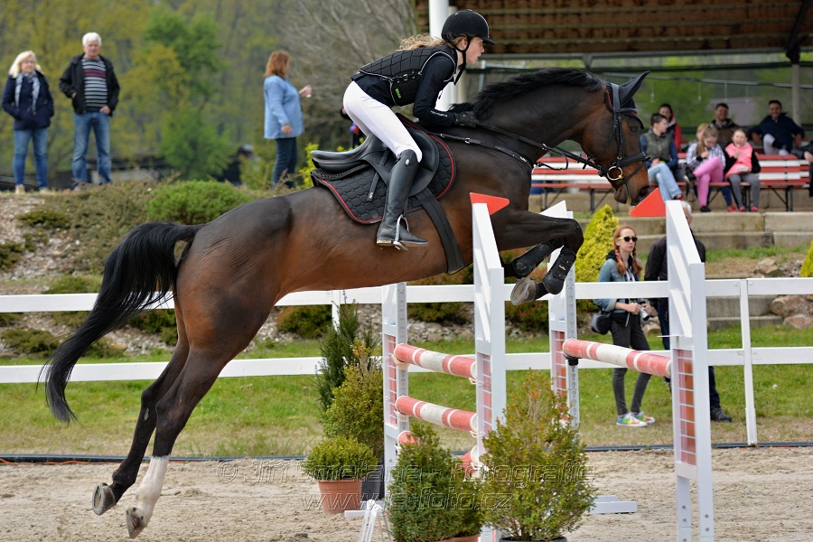 Skoková soutěž stupně „ZL“ na čas