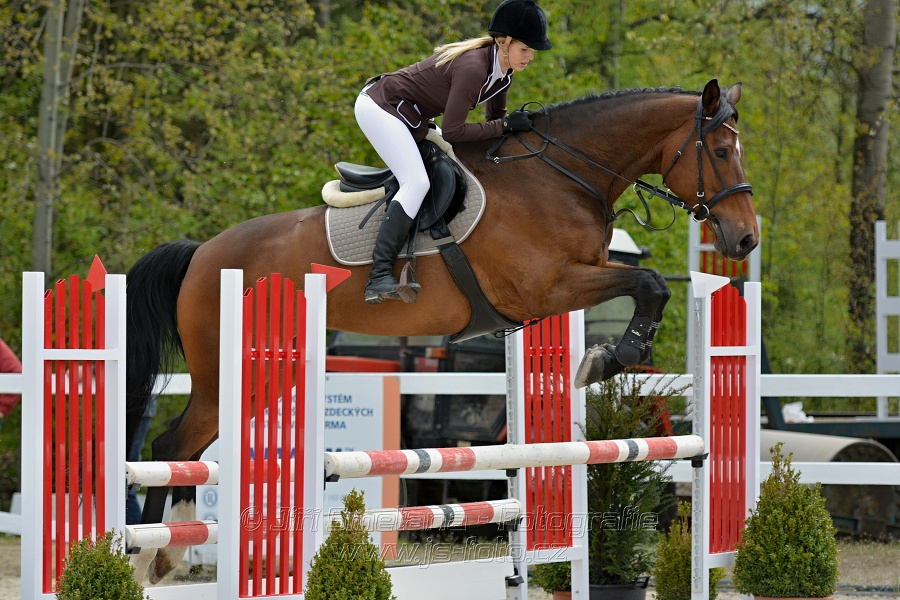 Skoková soutěž stupně „ZL“ na čas