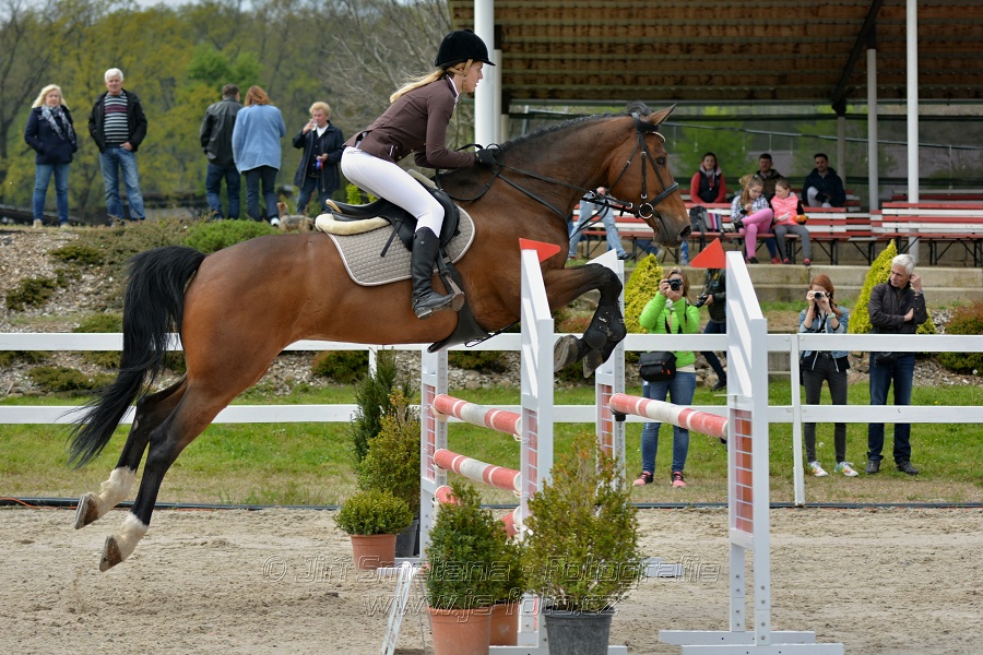 Skoková soutěž stupně „ZL“ na čas