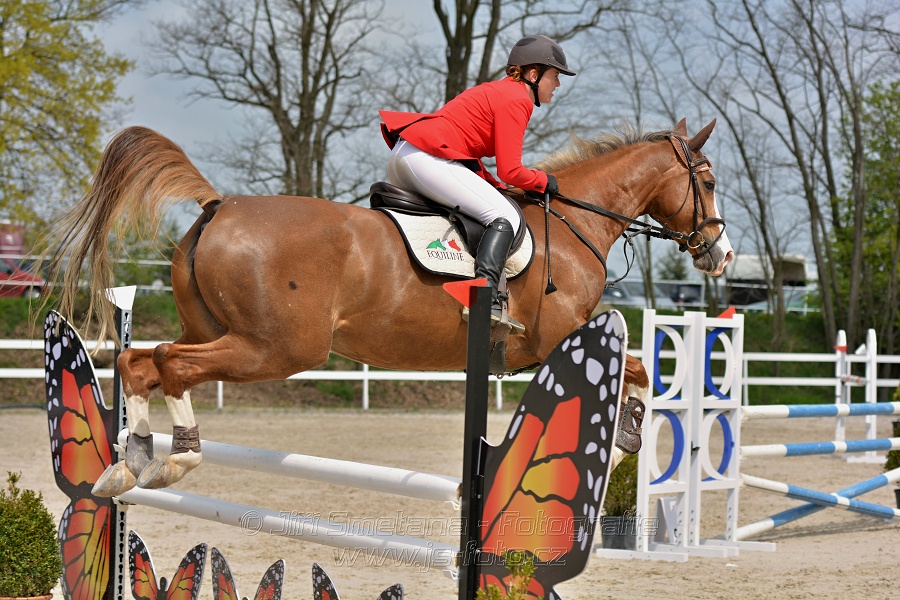 Skoková soutěž stupně „ZL“ na čas