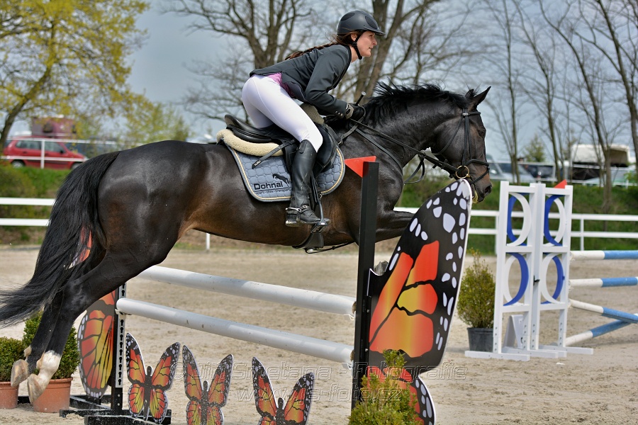 Skoková soutěž stupně „ZL“ na čas