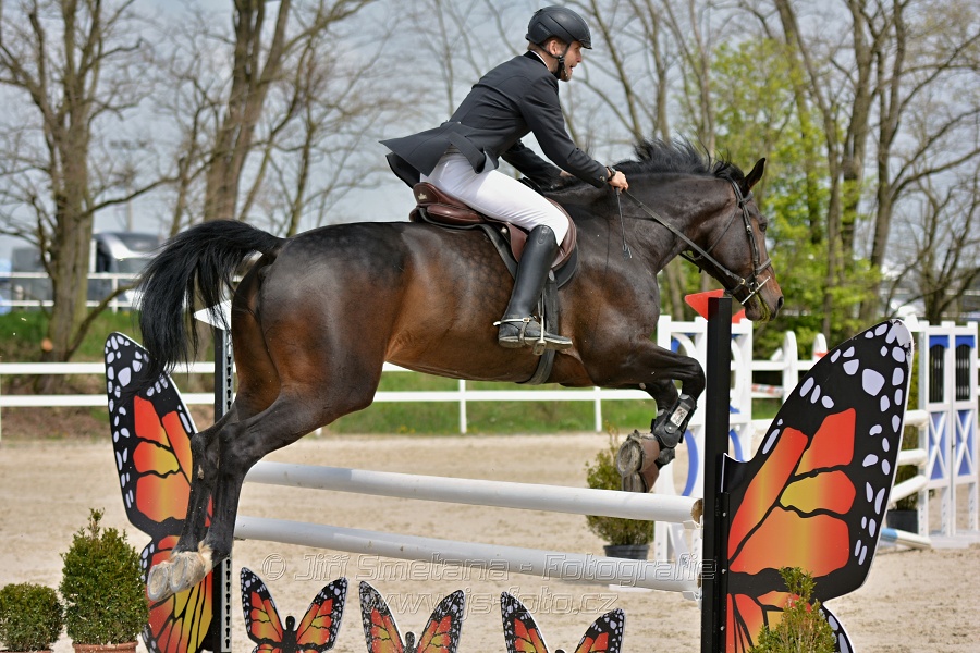 Skoková soutěž stupně „ZL“ na čas