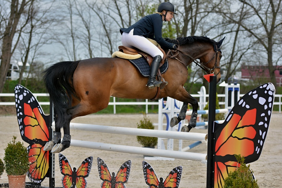 Skoková soutěž stupně „ZL“ na čas