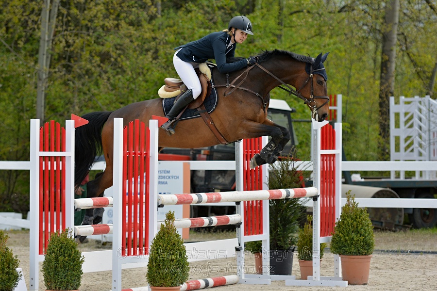 Skoková soutěž stupně „ZL“ na čas