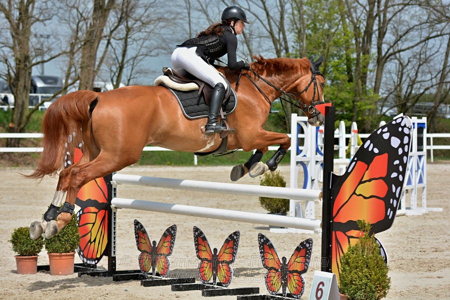 Skoková soutěž stupně „ZL“ na čas