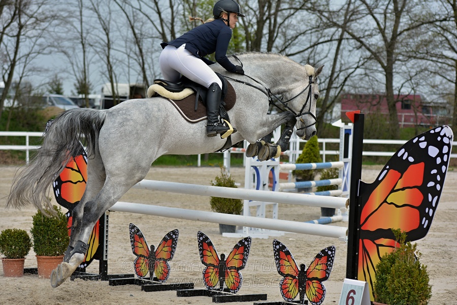 Skoková soutěž stupně „ZL“ na čas