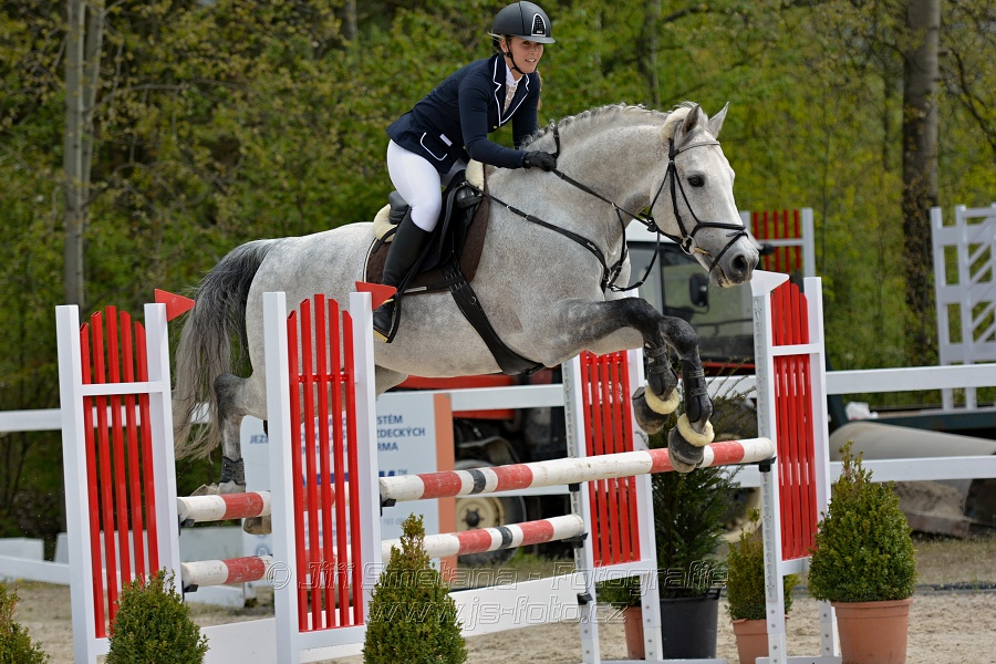 Skoková soutěž stupně „ZL“ na čas