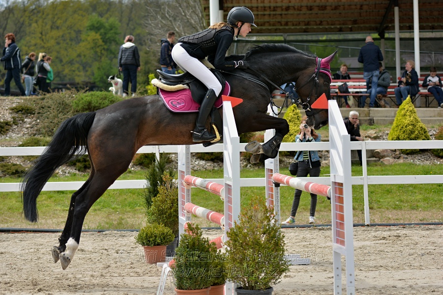 Skoková soutěž stupně „ZL“ na čas