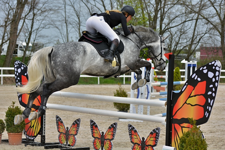 Skoková soutěž stupně „ZL“ na čas