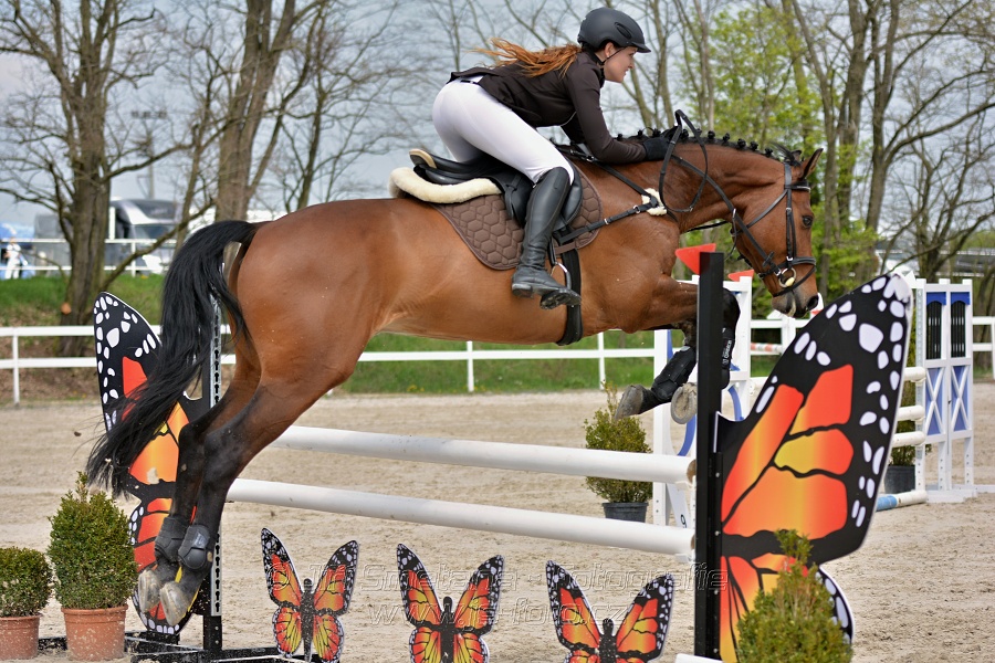 Skoková soutěž stupně „ZL“ na čas