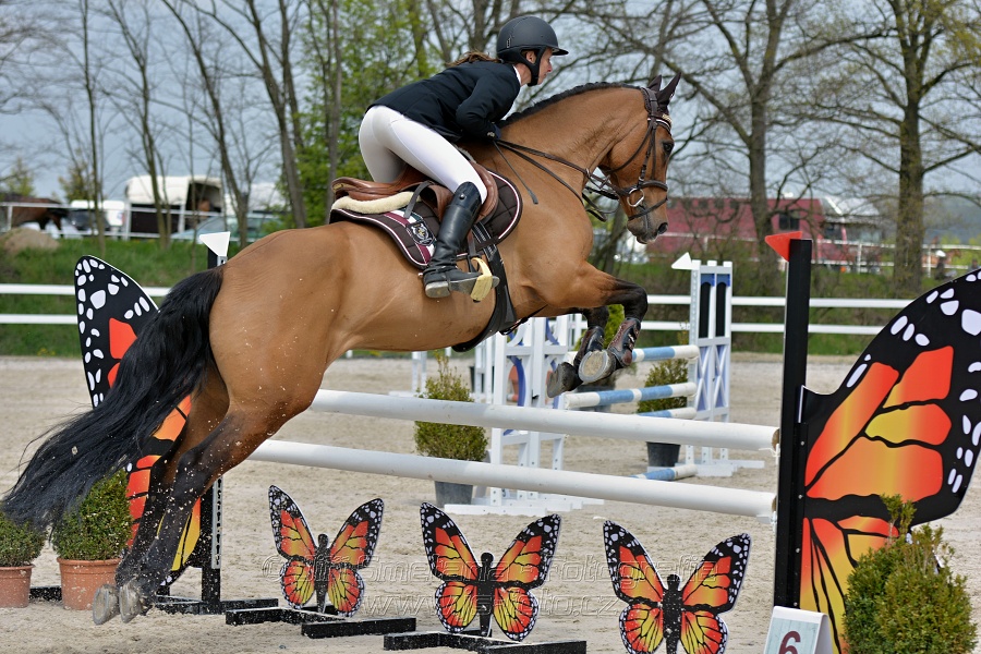 Skoková soutěž stupně „ZL“ na čas