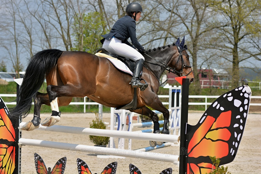 Skoková soutěž stupně „ZL“ na čas