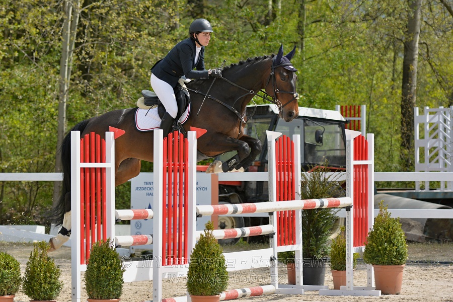 Skoková soutěž stupně „ZL“ na čas