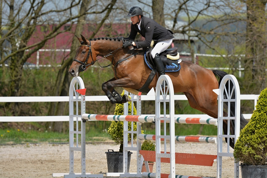 Skoková soutěž stupně „ZL“ na čas