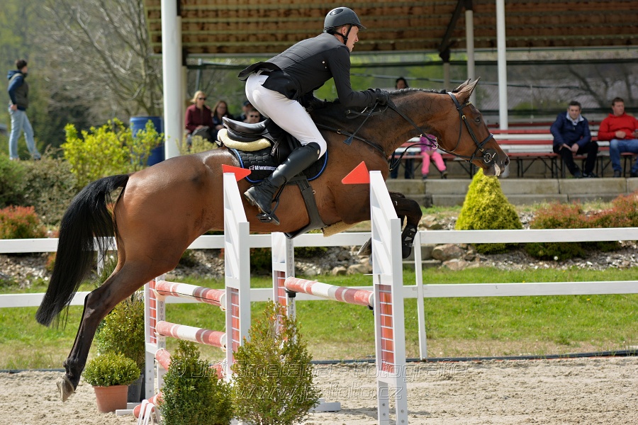 Skoková soutěž stupně „ZL“ na čas