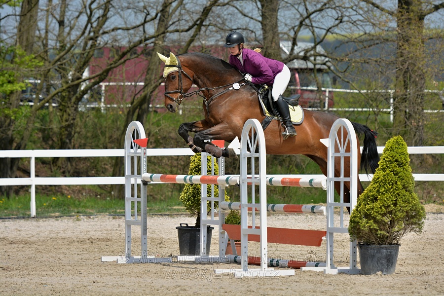 Skoková soutěž stupně „ZL“ na čas