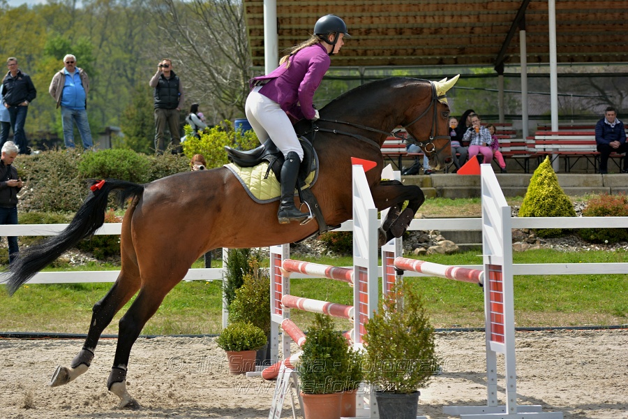 Skoková soutěž stupně „ZL“ na čas