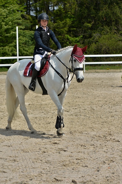 Skoková soutěž stupně „ZL“ na čas