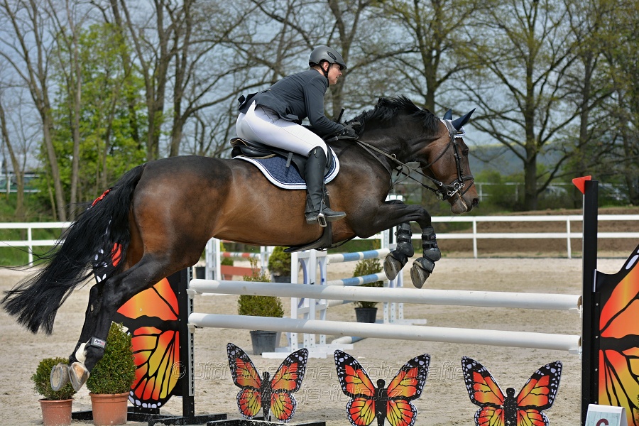 Skoková soutěž stupně „ZL“ na čas