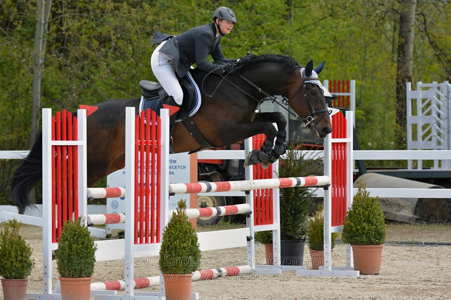 Skoková soutěž stupně „ZL“ na čas