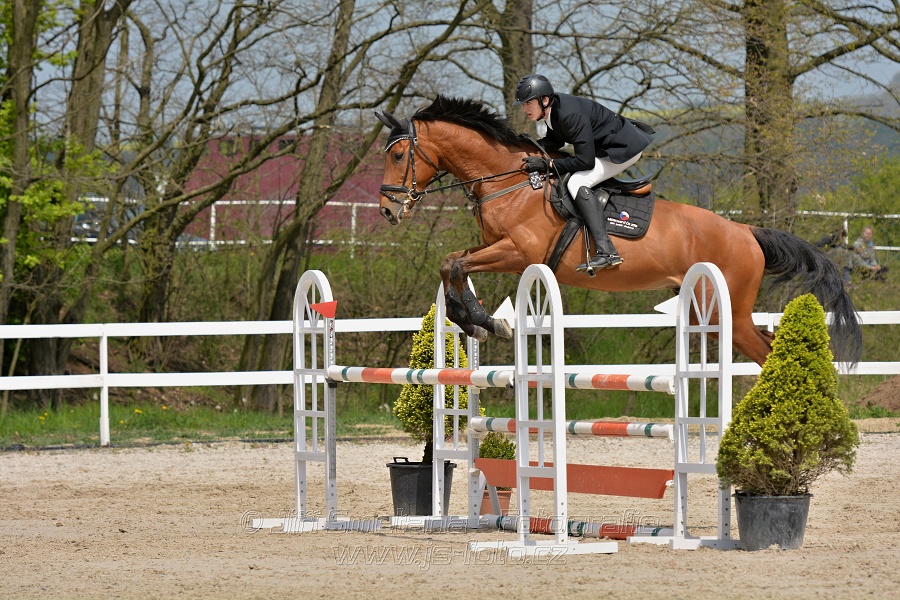 Skoková soutěž stupně „ZL“ na čas