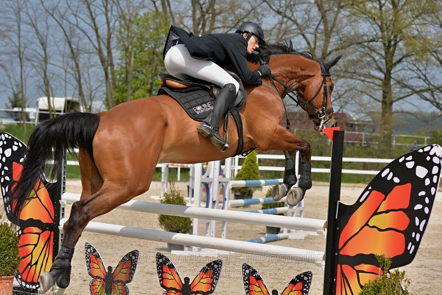 Skoková soutěž stupně „ZL“ na čas