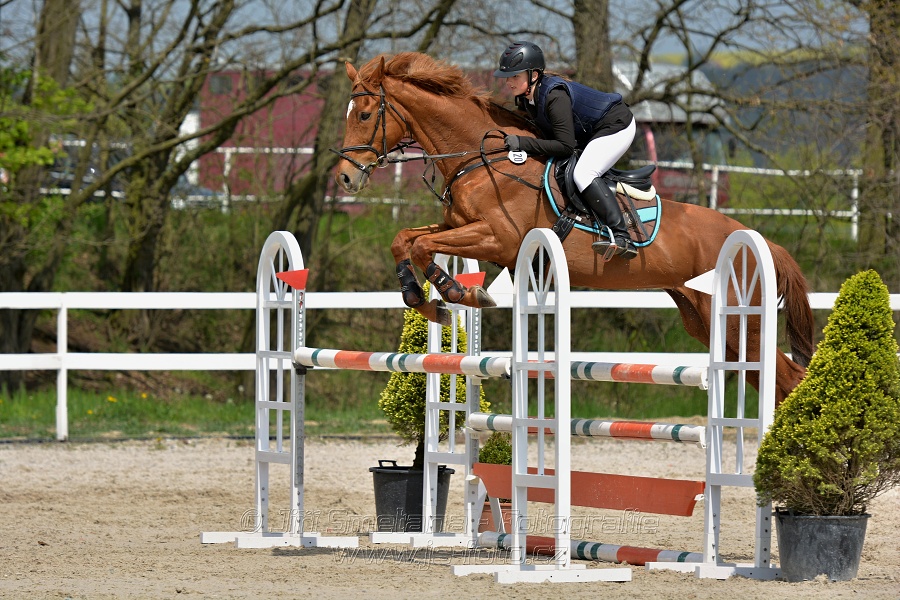 Skoková soutěž stupně „ZL“ na čas