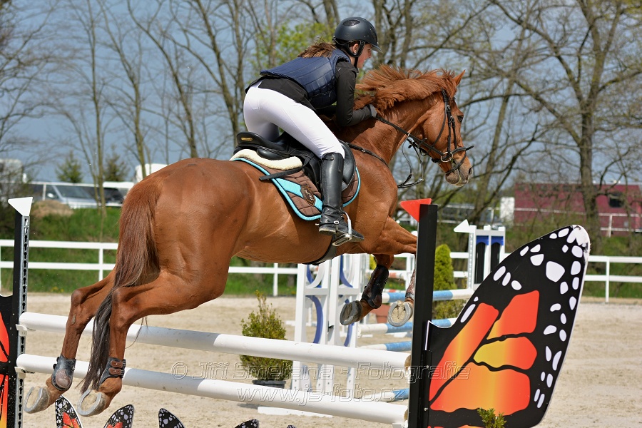 Skoková soutěž stupně „ZL“ na čas