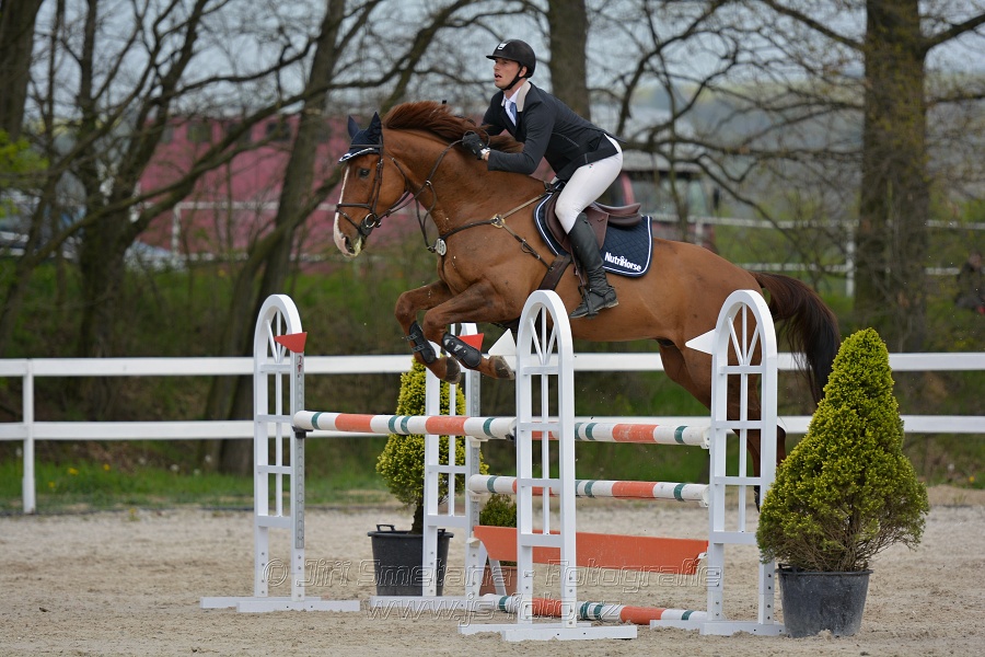 Skoková soutěž stupně „ZL“ na čas