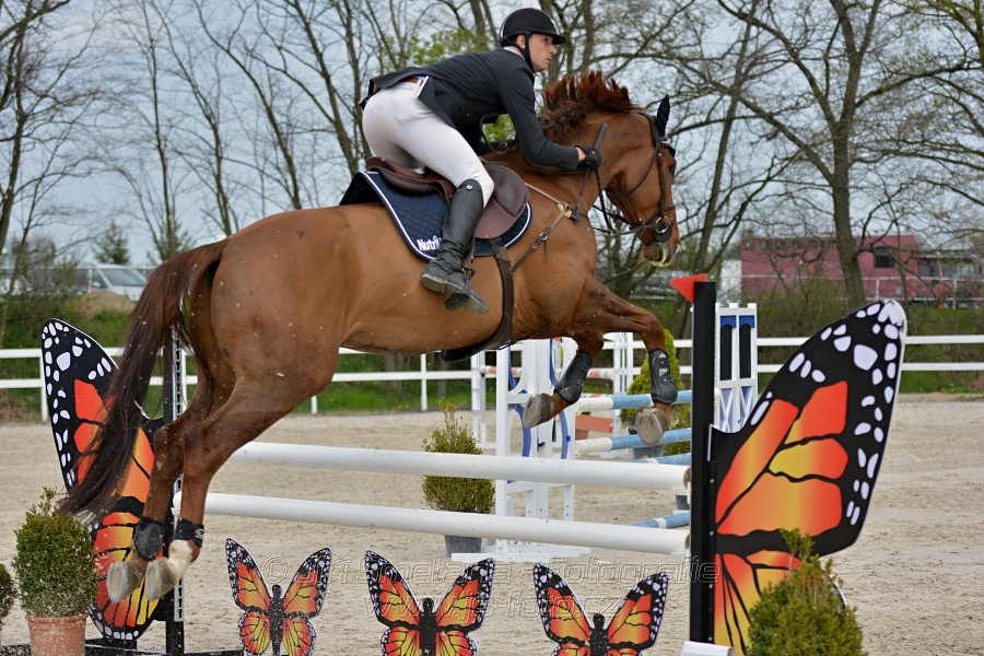 Skoková soutěž stupně „ZL“ na čas